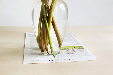 Botanik, 2012 | Lambda-Prints auf Aluminium, 9-teilige Serie | 18 x 27 cm | Ed. 3 Ex., num.+ sign.
