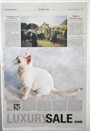 Keiser, Daniela | Alle Zeiten, 2009/10 | Collage, lambda inkjet print on newspaper | 48,3 x 33 cm | Unique piece