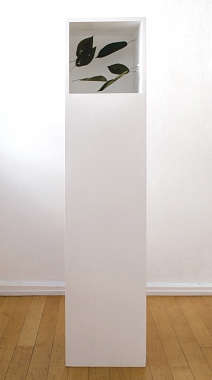 Eva-Fiore Kovacovsky | Blattkiste, 2013 | MDF-Platte, bemalt, Pflanzenteile | 130 x 30 x 30 cm | Unikat