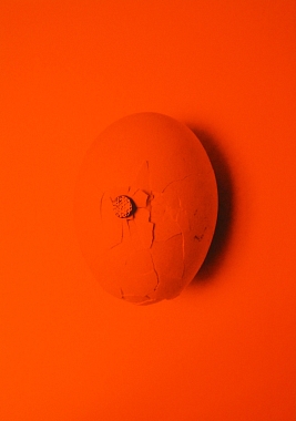 Ei, 2012 | Offset-Druck (Auflage in Orange, Rot, Gelb, Grün) | je A1-Format | Ed. 20 Ex., sign.+ num.
