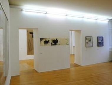 Exhibition view || Miriam Cahn | 3 m., 4.4.91/92 | Rosemarie Trockel | o.T., 2005 | o.T., 2008