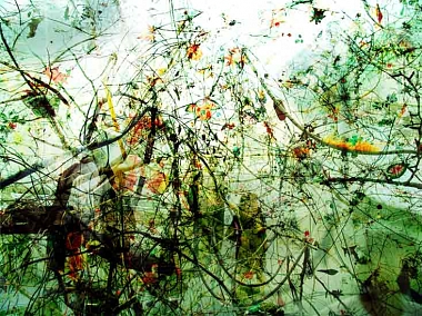 Brainforest Kanazawa, 2004 | Digital collage on aluminium | 70 x 93 cm | Ed. 6