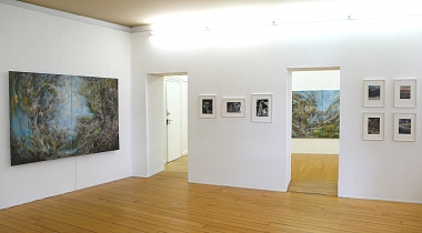 Ausstellungsansicht SABINE HERTIG - LANDSCAPES
