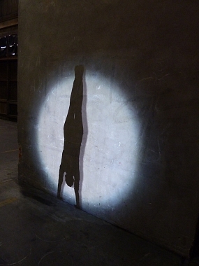 Zilla Leutenegger | Handstand, 2014 | Video projection, colour, no sound