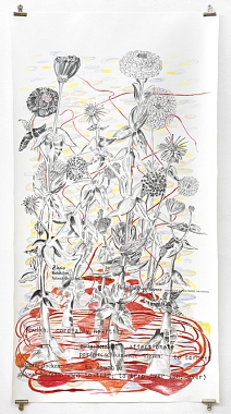 ... Zinnia ..., 2008/2009 | Bleistift und Buntstift auf Papier | 157 x 84 cm