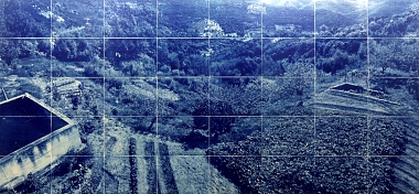 Cyanogarten 4, 2015 | Fotografisches Wandbild, 40-teilig | Cyanotypie auf Papier | je 56,5 x 76 cm / gesamt 285 x 615 cm | Ed. 3 Ex.