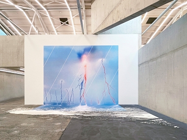 ADER, 2024 | Raumvariable Installation | Fotoscans auf Papier | 538,5 x 681 cm (Wandmass) | 606 x 1035 cm (Bodenmass) | Ed. 5 Ex. | Ausstellungsansicht Kunsthaus Baselland 